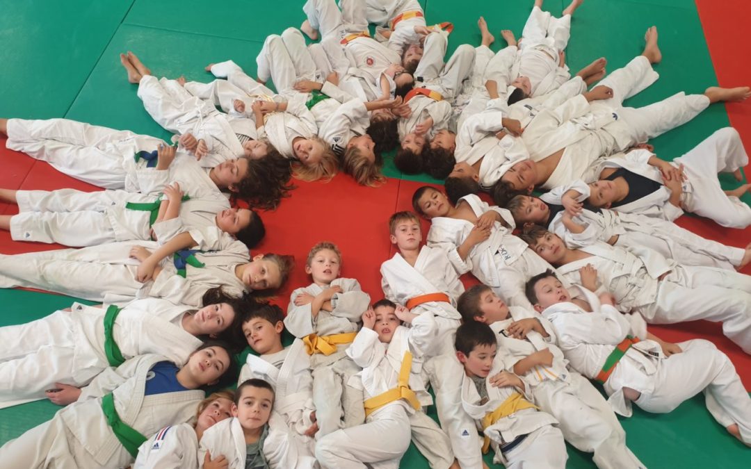 stage judo/sport co/piscine