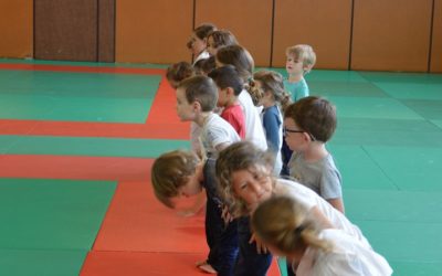 Reprise des cours