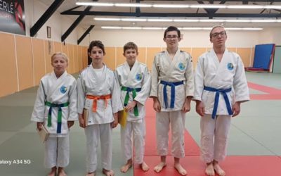 Participation au stage départemental d’arbitrage à Quimperlé